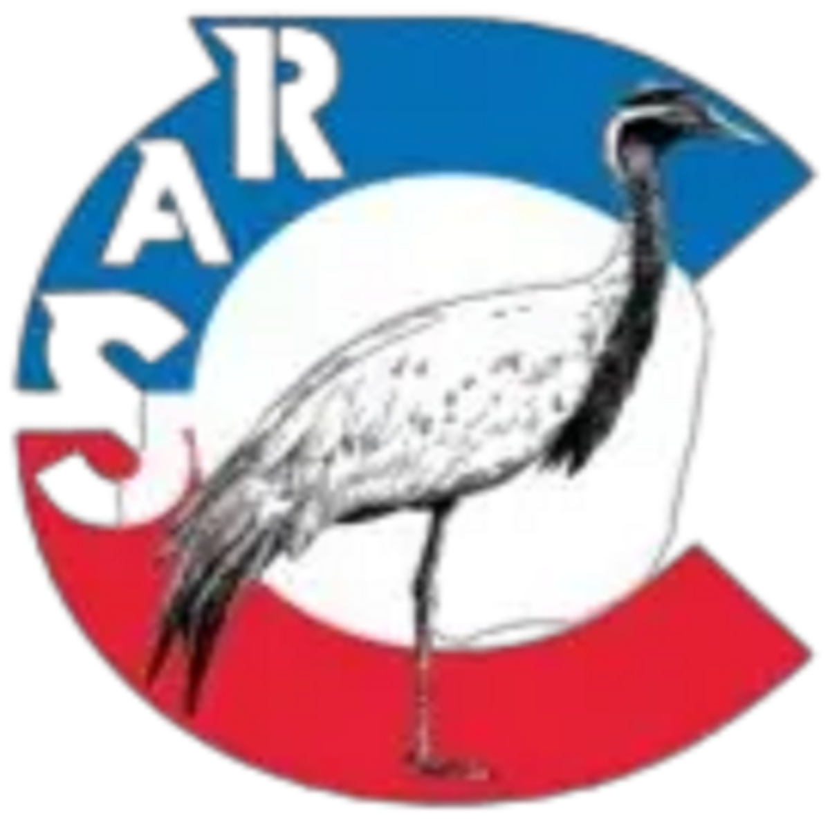 ChemRAS Logo